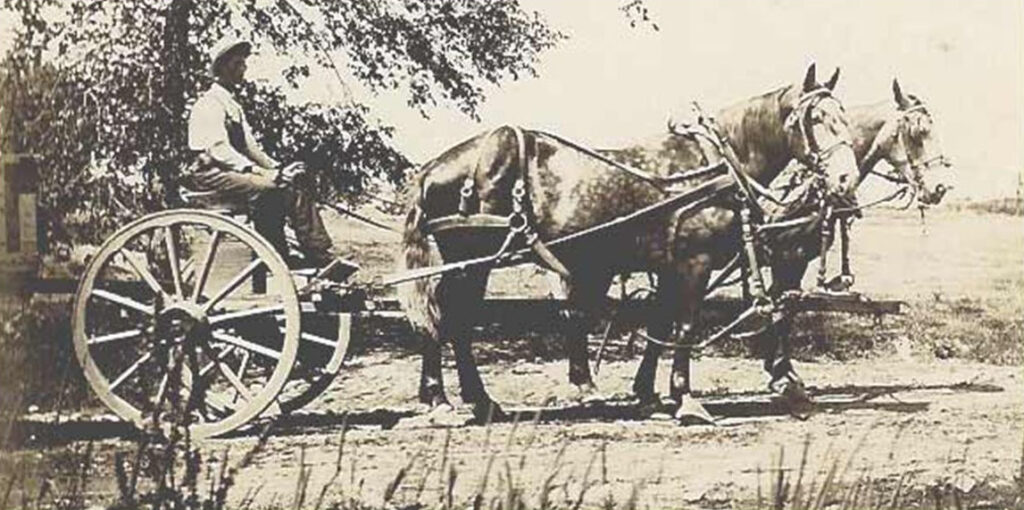 Horse Cart